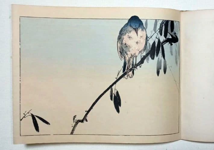 稀省亭版画花鳥画帖12図柄入り渡辺省亭画、明治後期頃芸艸堂出版