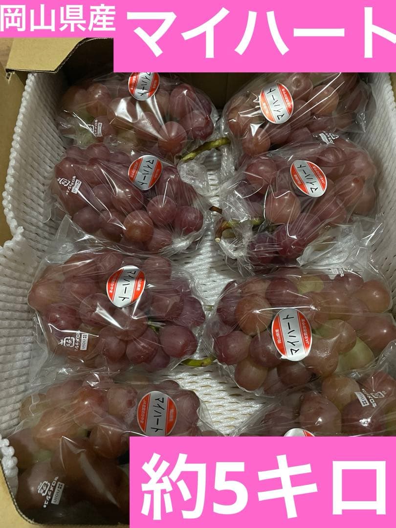 ① 【岡山県産】マイハート(葡萄)7〜8房 約5キロ