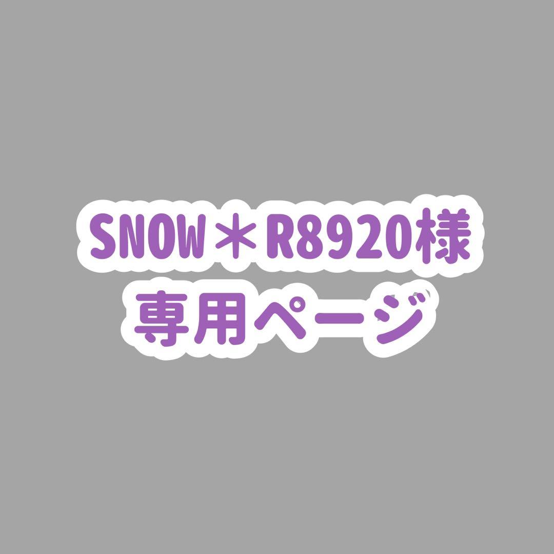 ＊R8920ページ