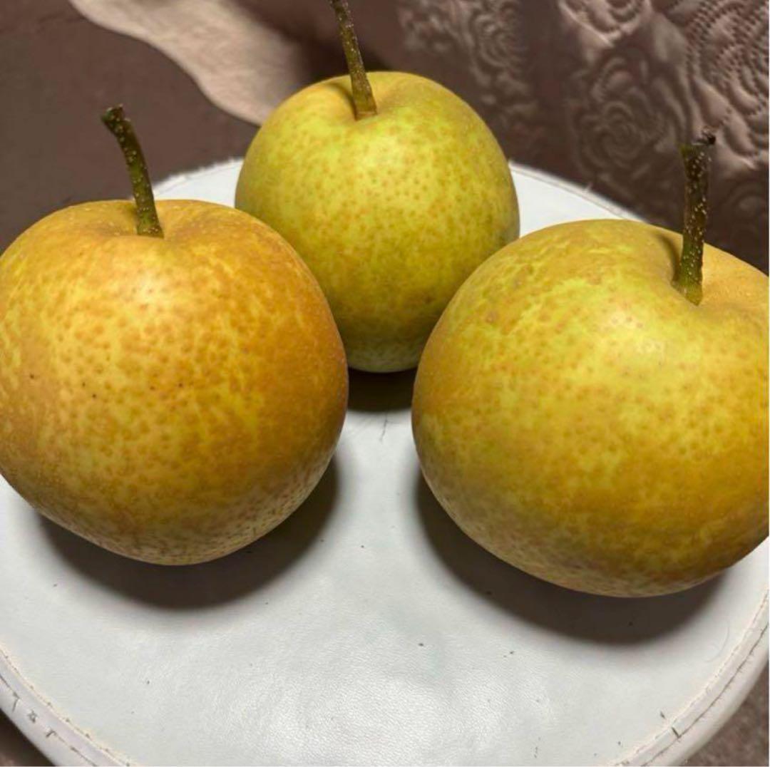 梨　甘太　３㎏　3箱セット