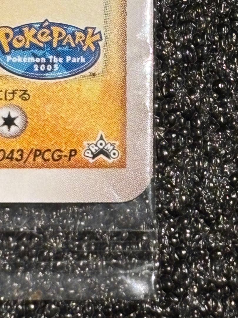 【あんしん鑑定可】ポケパークのピカチュウ プロモ【未開封品】