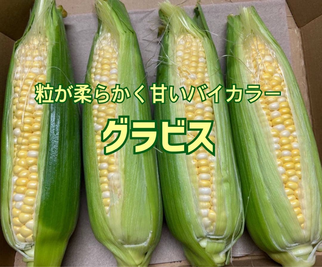 限定販売❣️粒が柔らかく甘いバイカラーとうもろこし（グラビス）皮つき40本