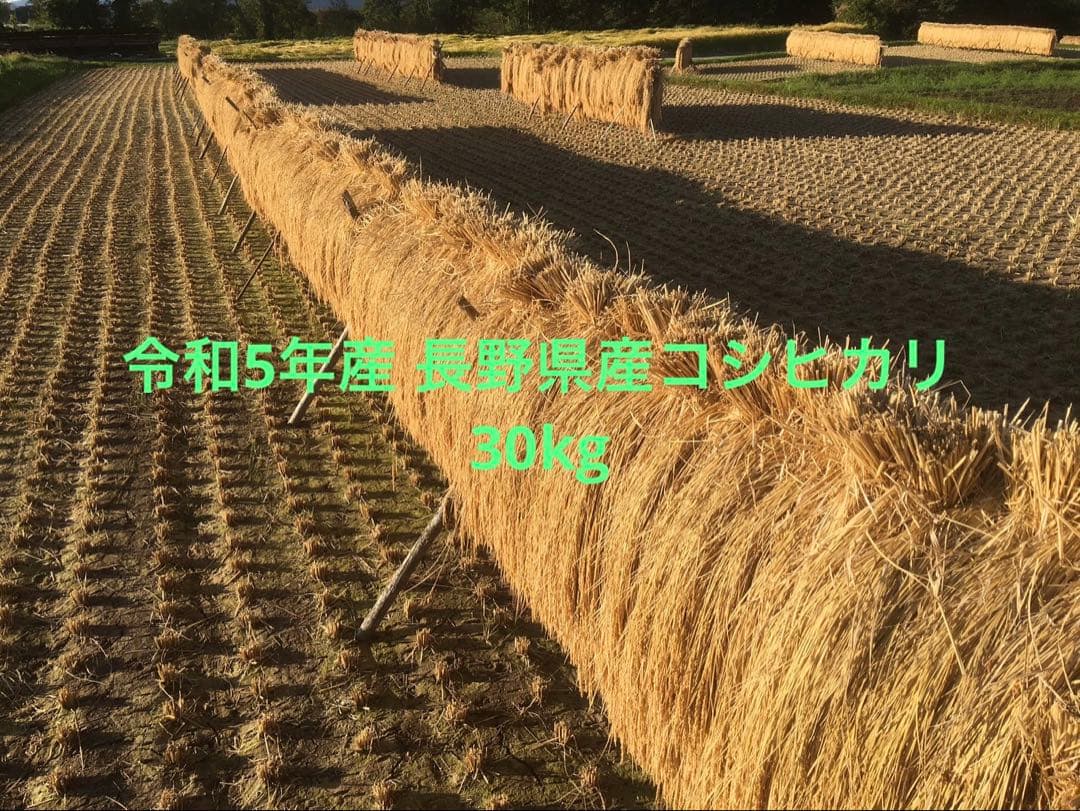 お米 30k ⑥