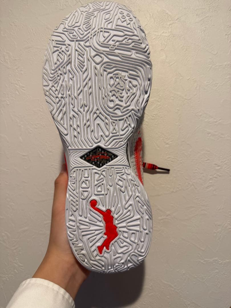 レブロン20-32cm