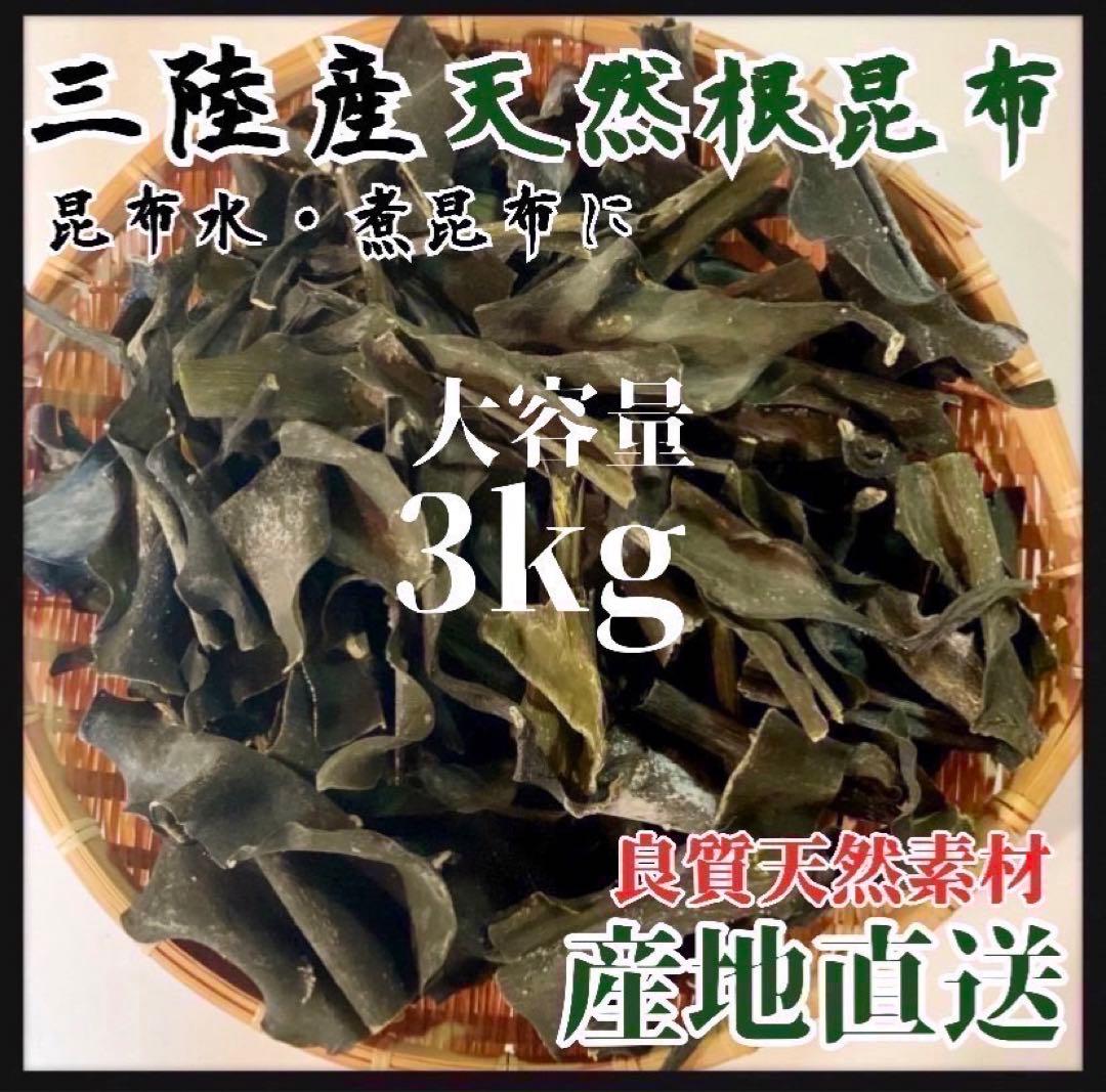 【岩手県産】乾燥根昆布　3kg 粘り強い　昆布茶　希少部位　煮物に最適　希少