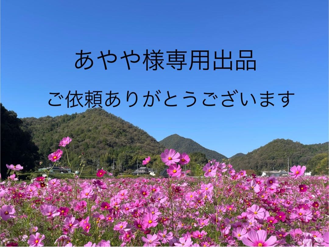 あやや出品