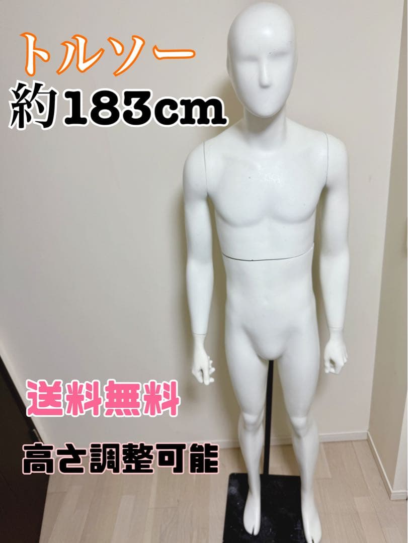パールイデア　男性　全身トルソー　マネキン　白　高さ調整可能　ディスプレイ