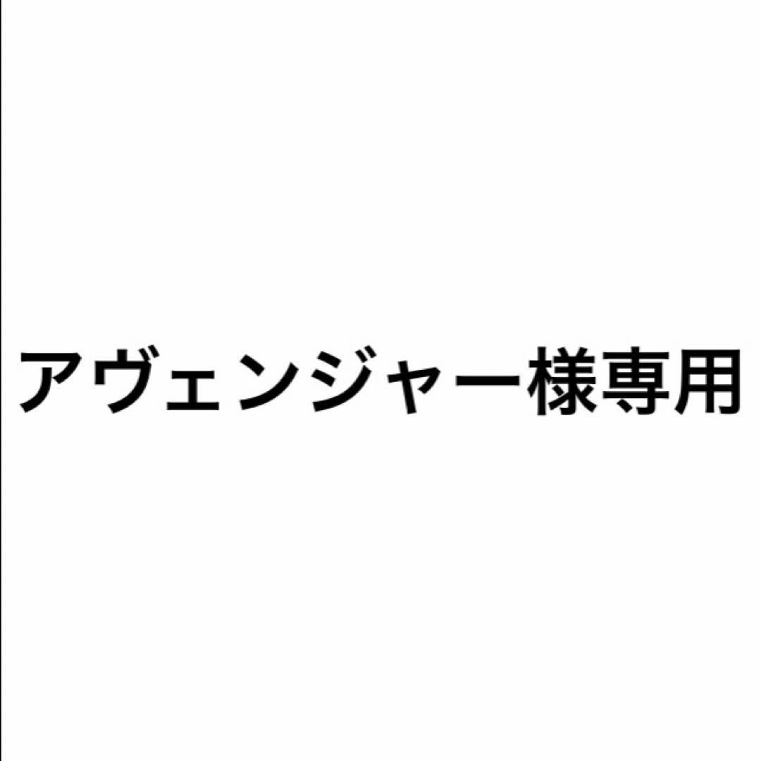 ア*ー様 アヴェンジャー