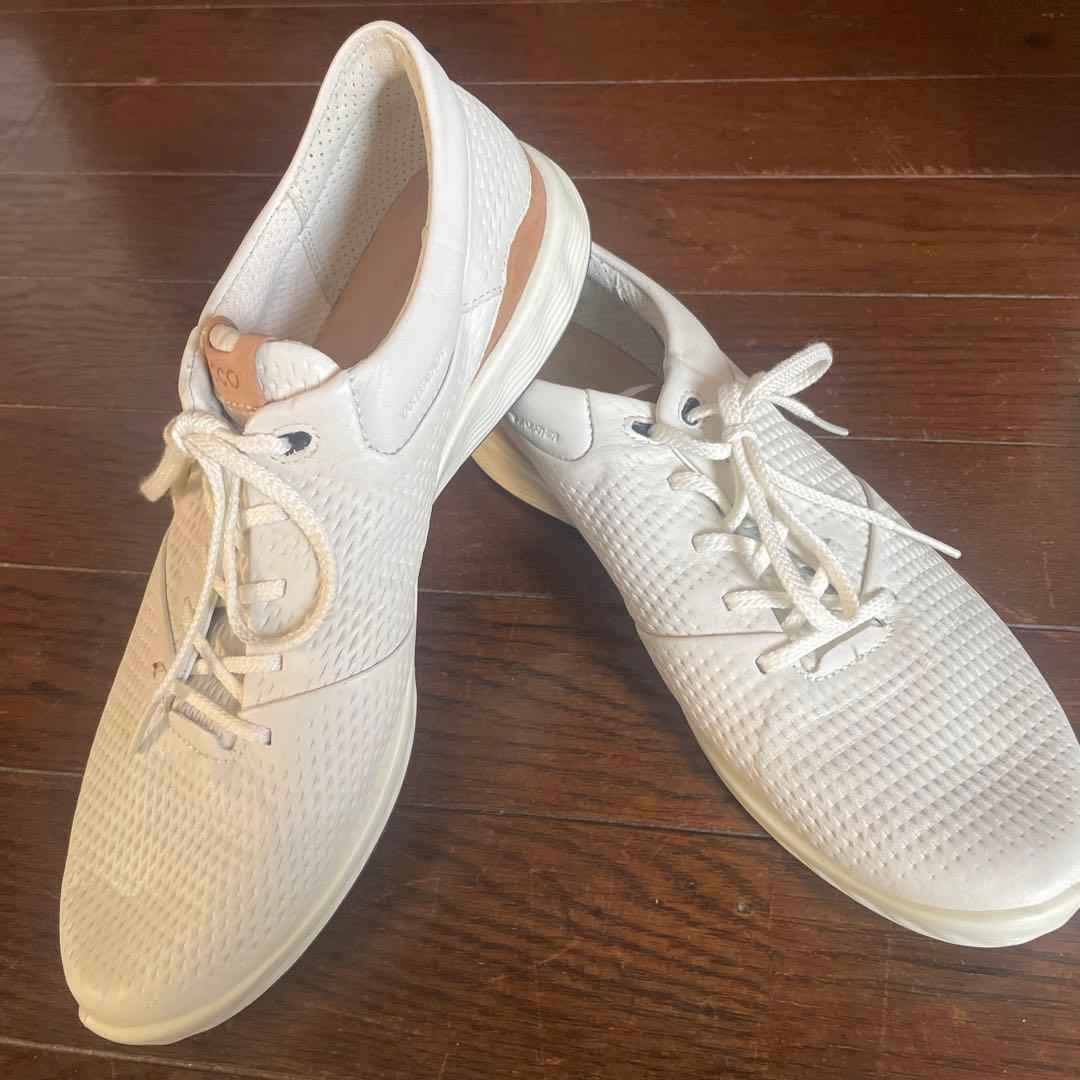 【未使用】24.5cm ECCO ゴルフシューズ ホワイト