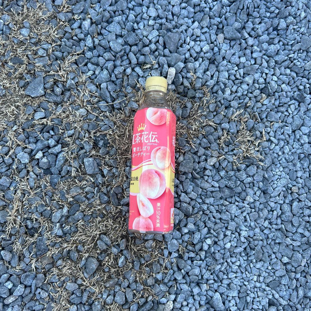 美女が飲んだピーチティー