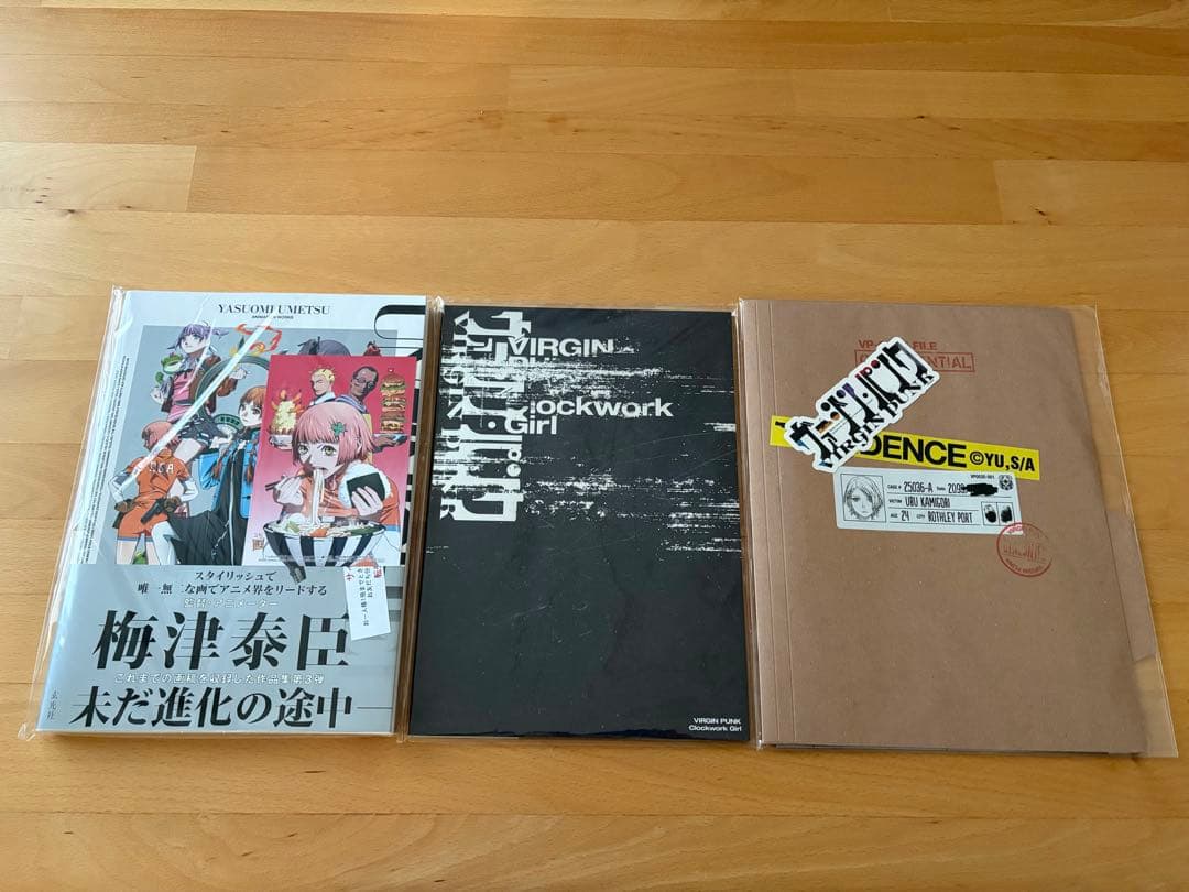 ヴァージン・パンク書籍グッズ