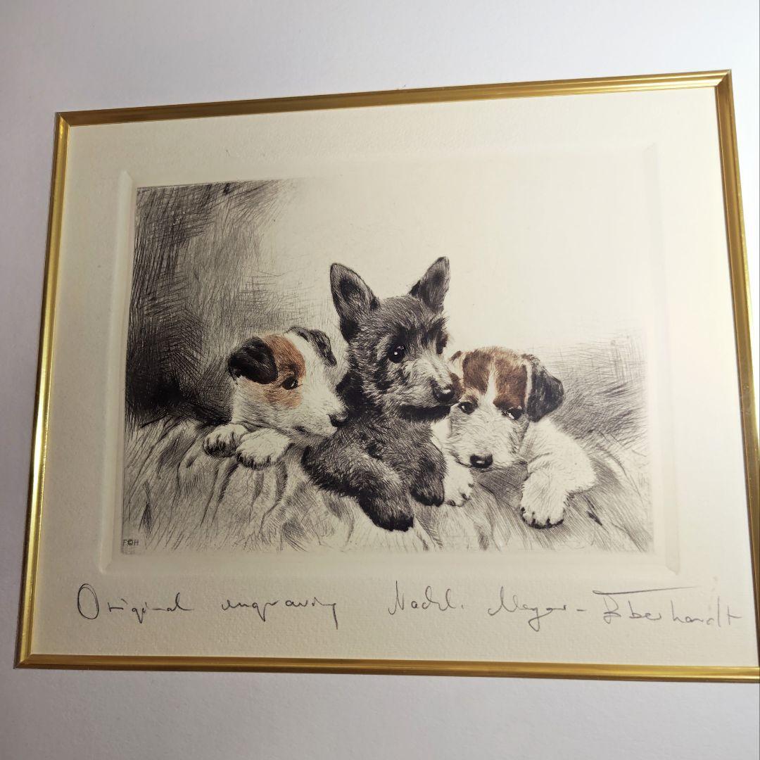 ヴィンテージ銅版画  Meyer Eberhardt 「3匹のテリア犬」