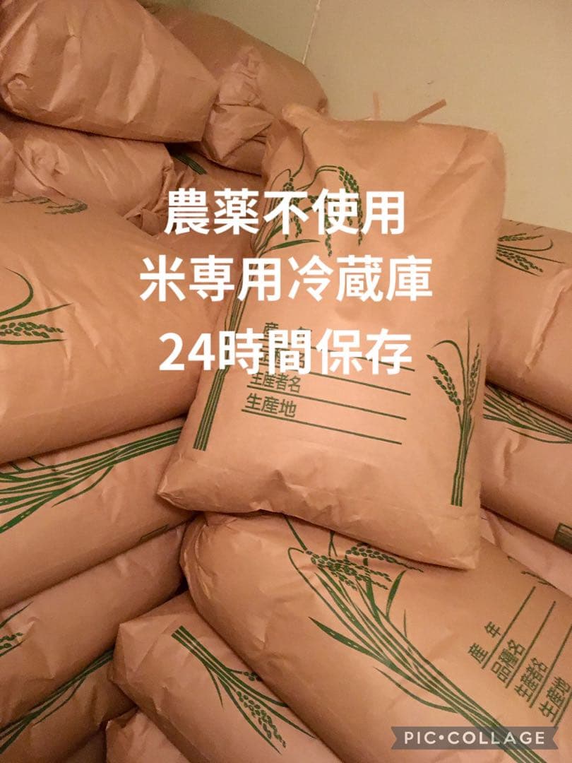 にこまる 10kg×2 農家六代目 自家生産 農薬不使用 玄米 国産 農家直送