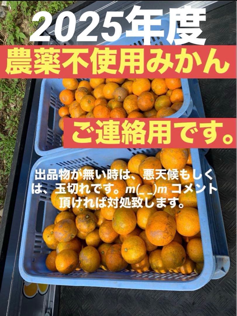 農薬不使用 浜名湖ミカン 2025年度.連絡用 1/20更新　説明読んでね