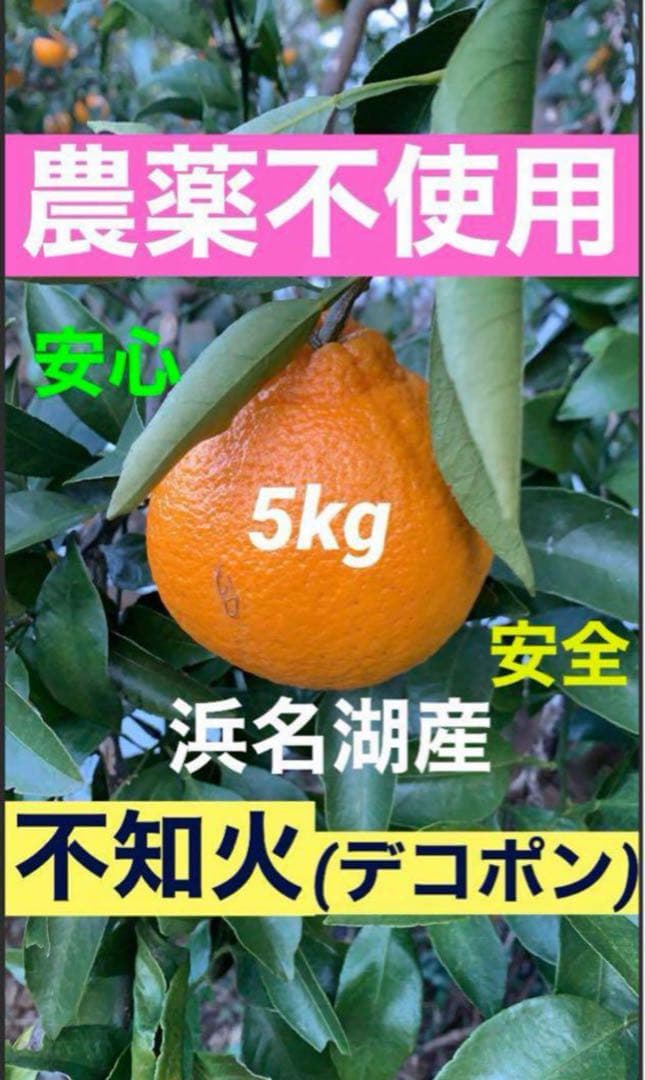 農薬不使用 浜名湖ミカン 2025年度.連絡用 1/20更新　説明読んでね