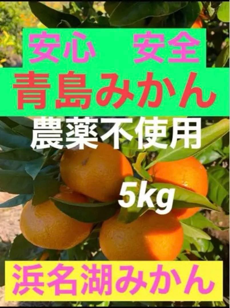 農薬不使用 浜名湖ミカン 2025年度.連絡用 1/20更新　説明読んでね