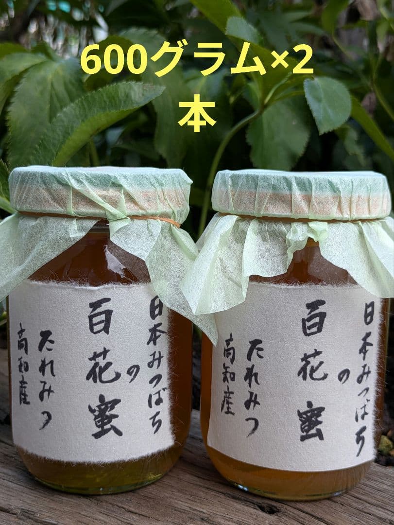 日本ミツバチ 蜂蜜 令和7年 採れたて 600g×2本 たれ蜜 非加熱