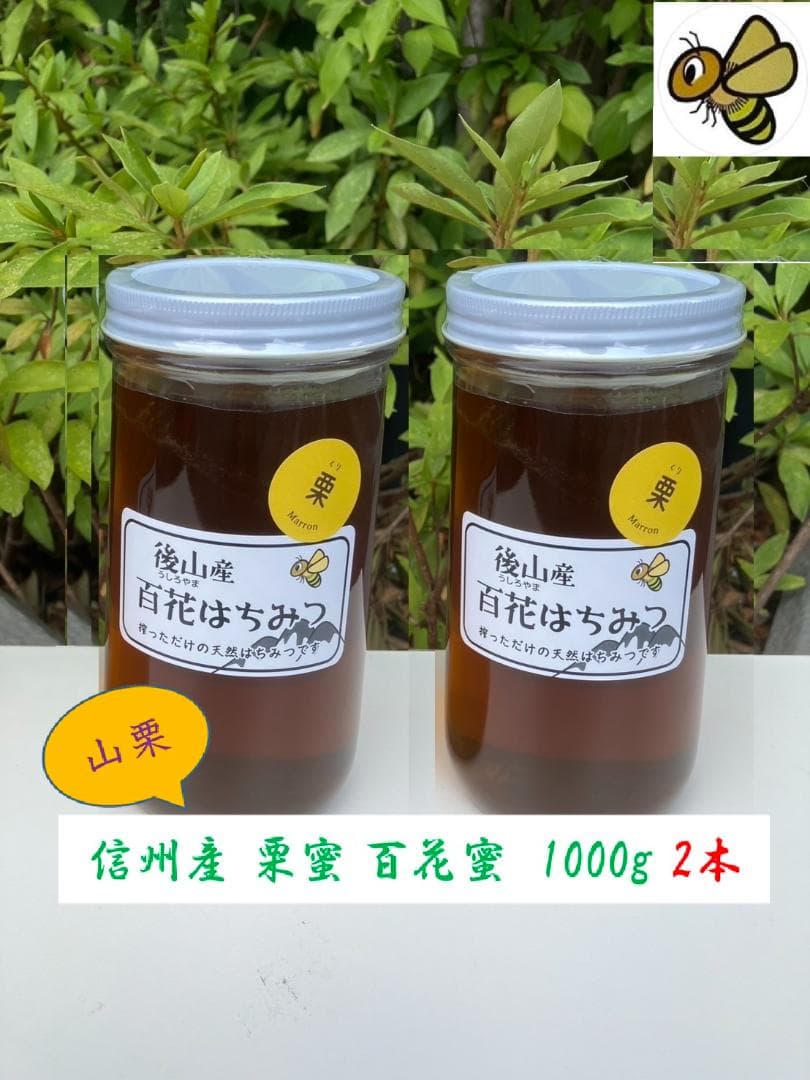 山栗 百花蜜 1000g 2本 セイヨウミツバチ 栗蜜 国産蜂蜜 はちみつ