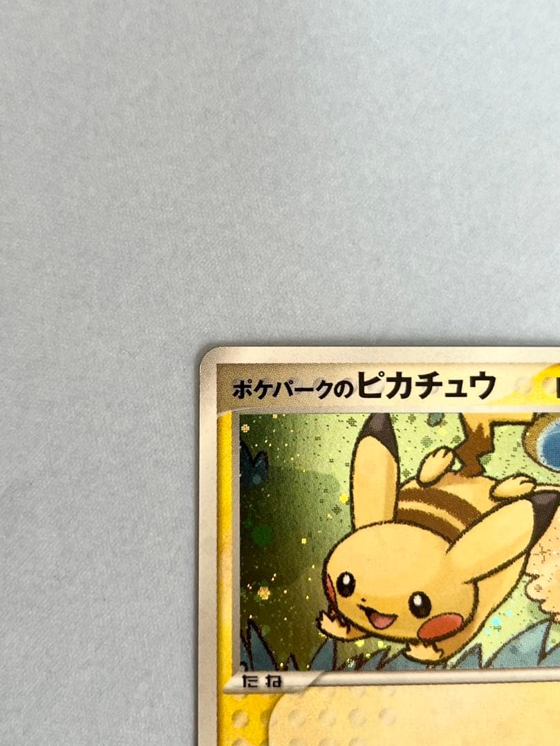 ポケパークのピカチュウ ポケパークプレミアムファイル 004/009