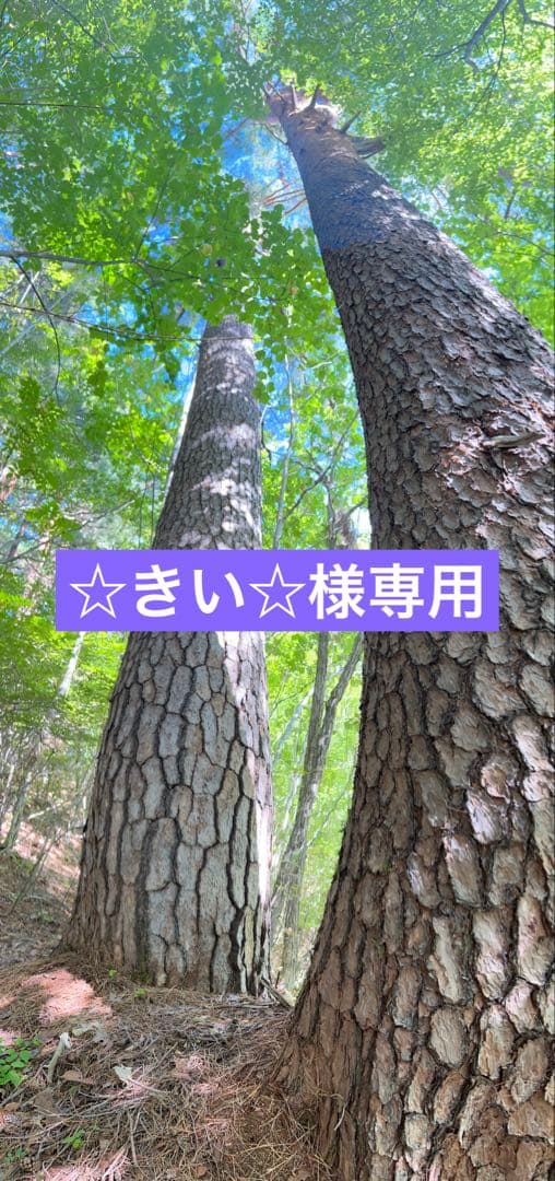 ☆きい☆