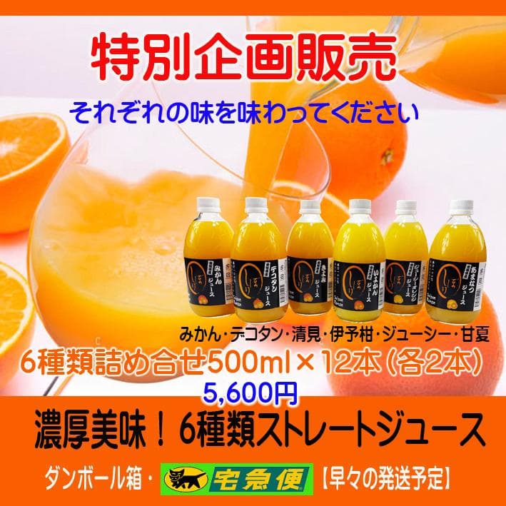 【大三島いろいろ】特売！6種類詰合せジュースで色々な味を味わってください
