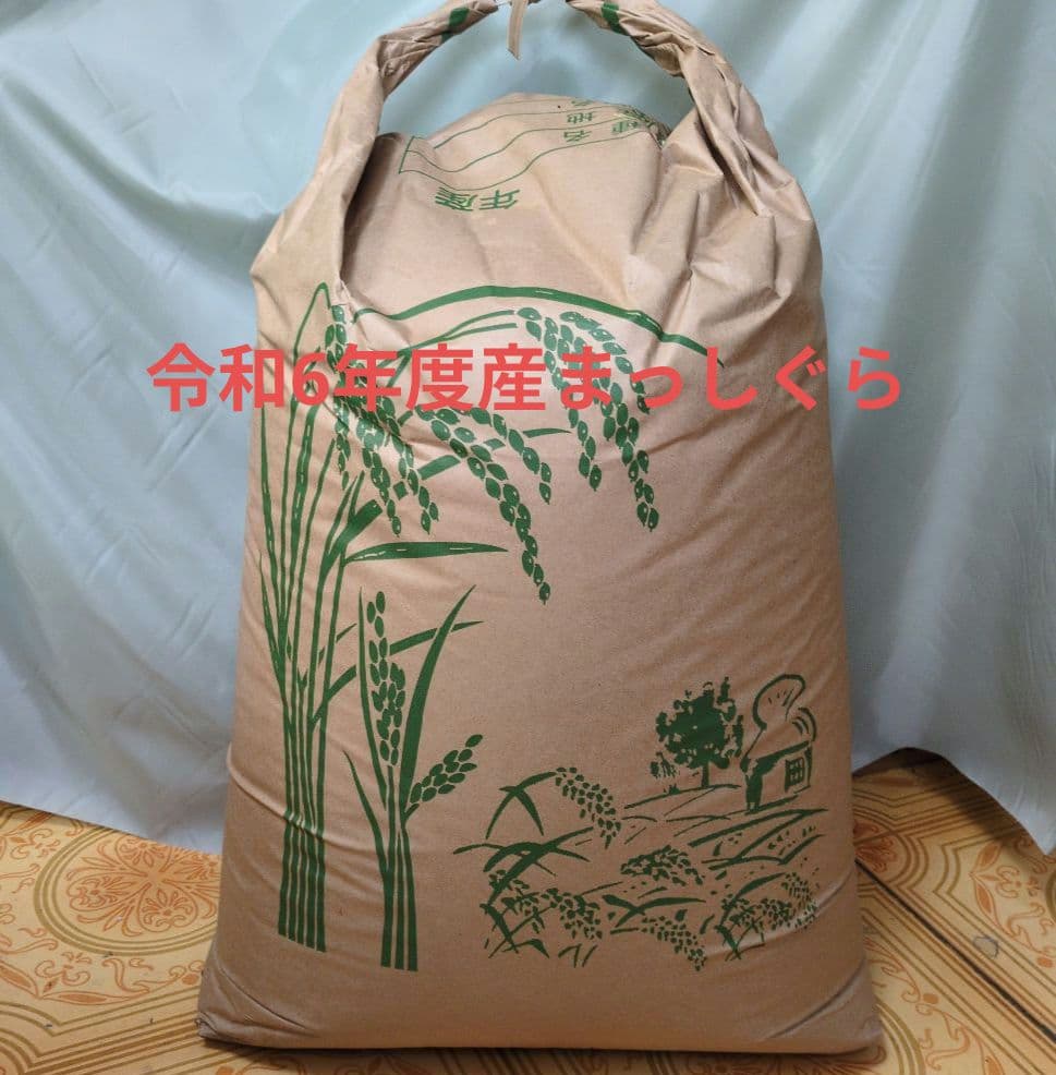 青森県産　まっしぐら　令和6年度産