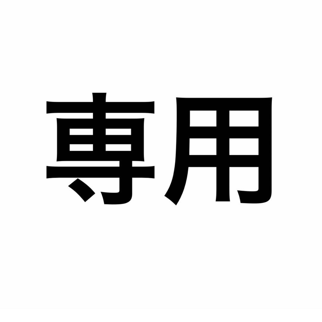 専用④