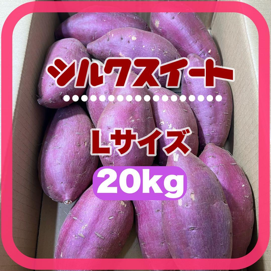 シルクスイート Lサイズ 20kg さつまいも