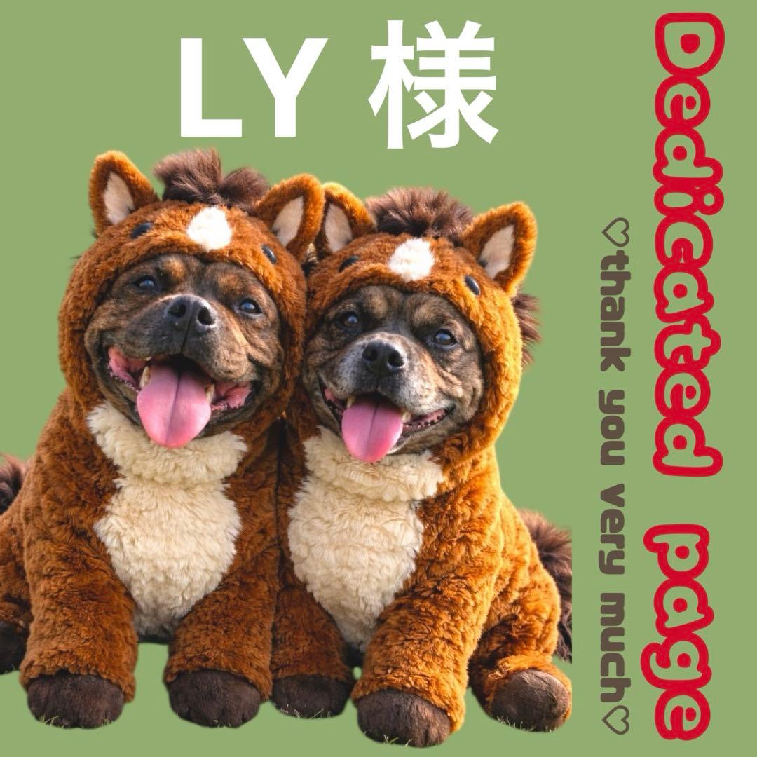 その他 LY