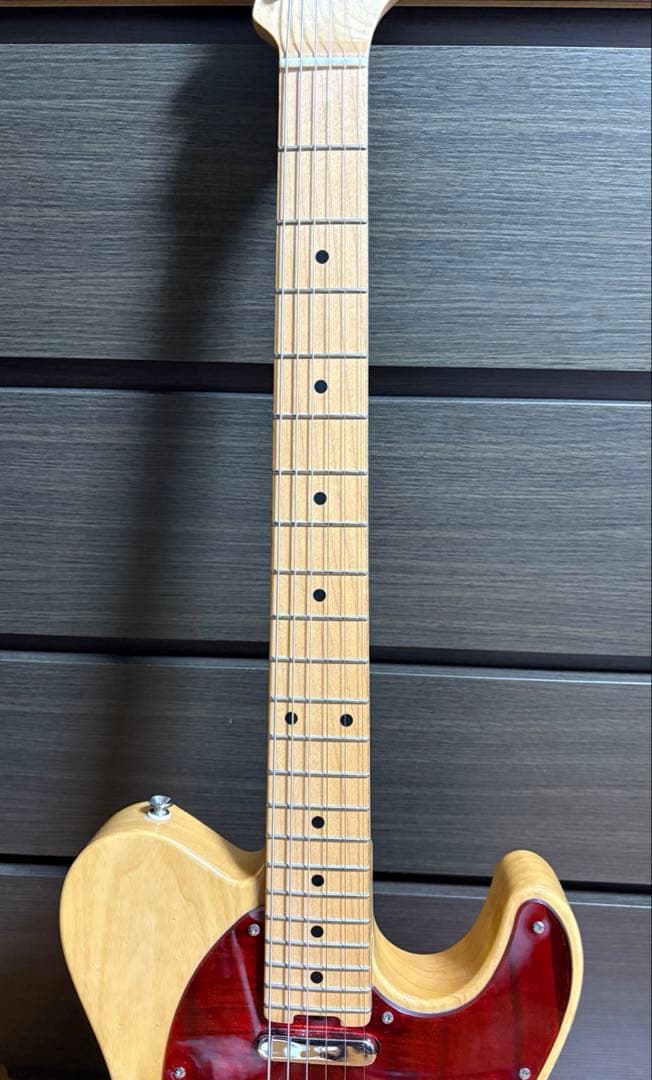 ギター SCHECTER N-PT-AS NTL