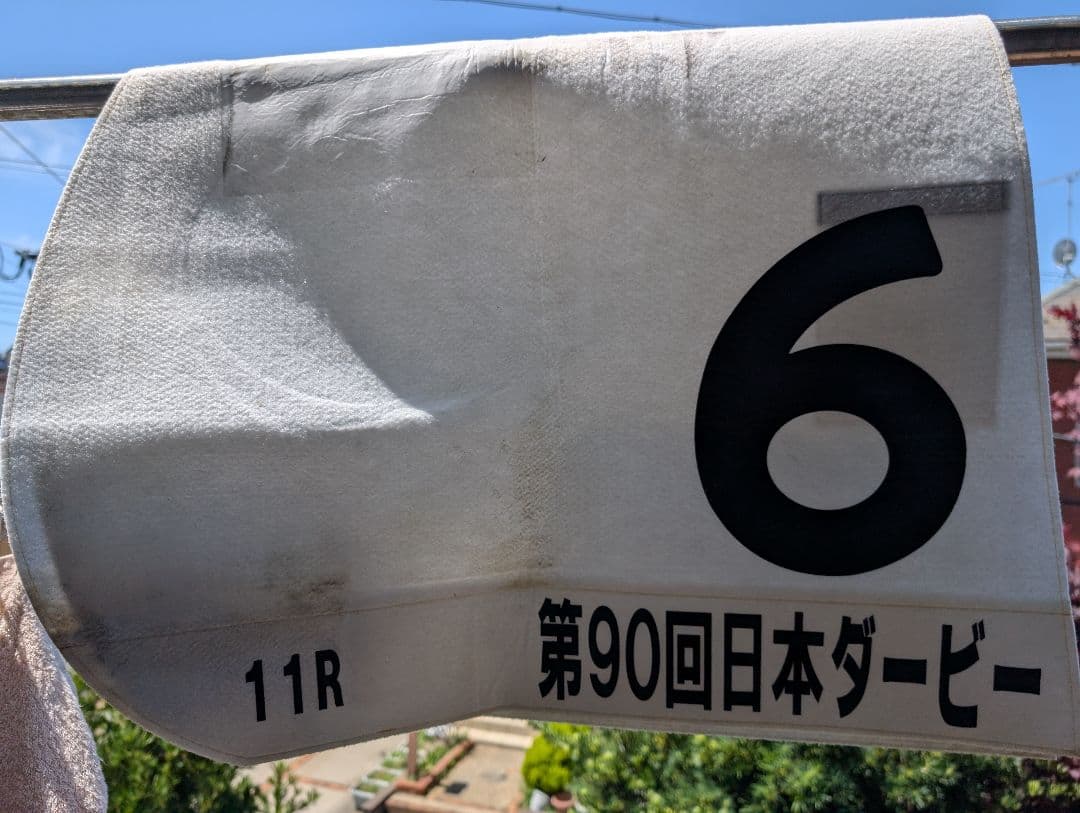 【第90回日本ダービー実使用ゼッケン】　ショウナンバシット号