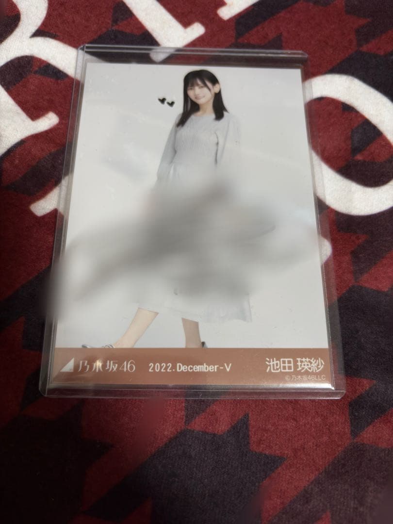 乃木坂46 池田瑛紗　生写真 ケーブルニット ヒキ 直筆サイン