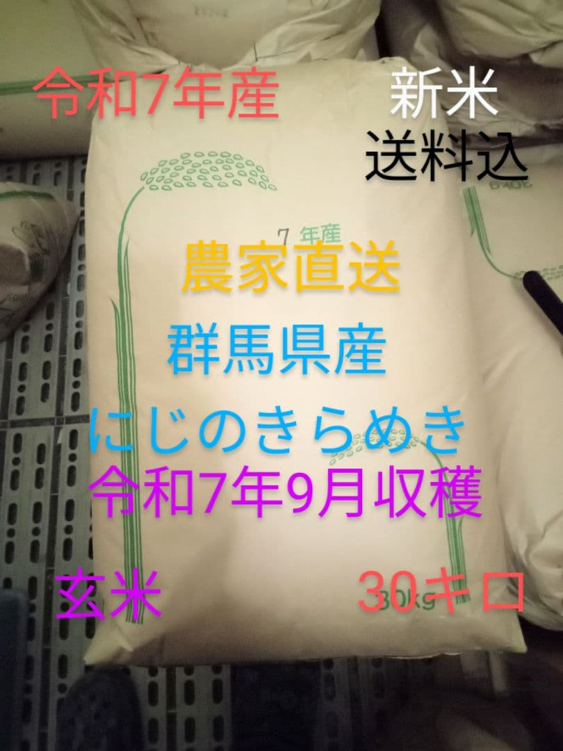 R7年産 新米 群馬県産 にじのきらめき 30キロ 玄米 送料込 ②