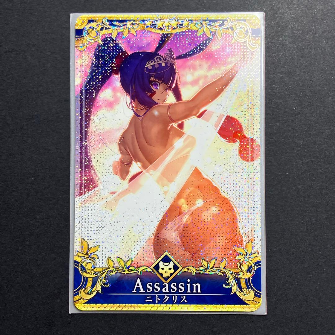 FGO ニトクリス (水着) (聖杯 レベル100) フェイタルfgoac
