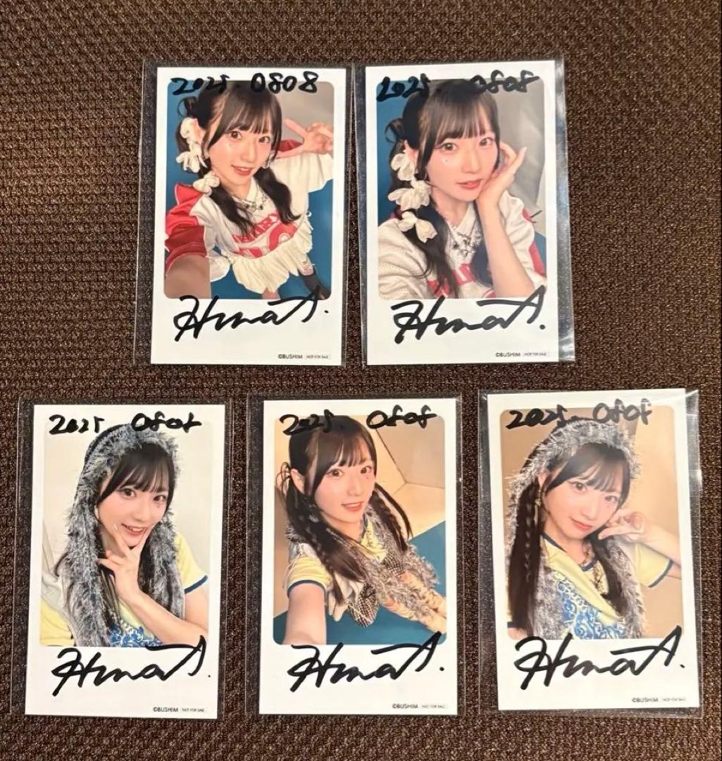 全5種コンプ　青木陽菜手渡し直筆サインミニブロマイドチェキ　ブルトリ17札幌