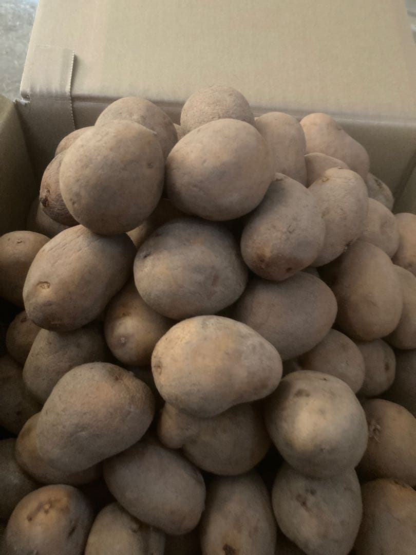 インカのめざめ　2Sサイズ　20Kg 北海道産
