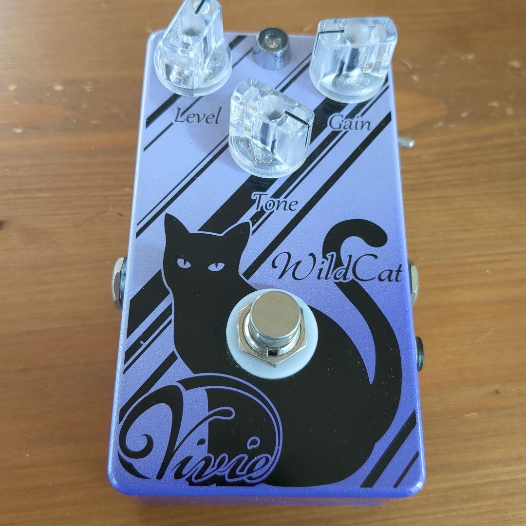 ギター Vivie WildCat
