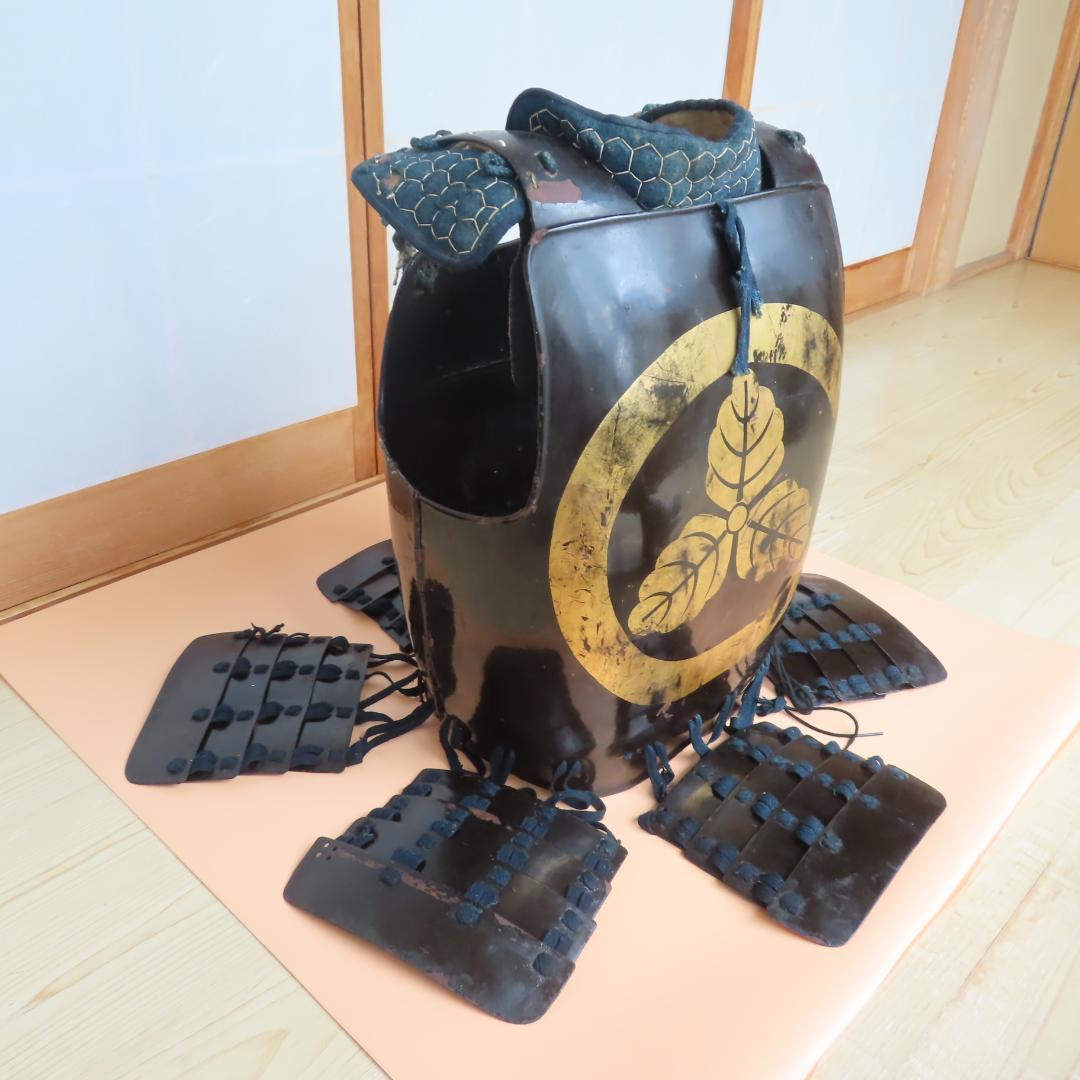 丸に三つ柏紋　貸し具足（江戸時代）/鎧・甲冑・胴