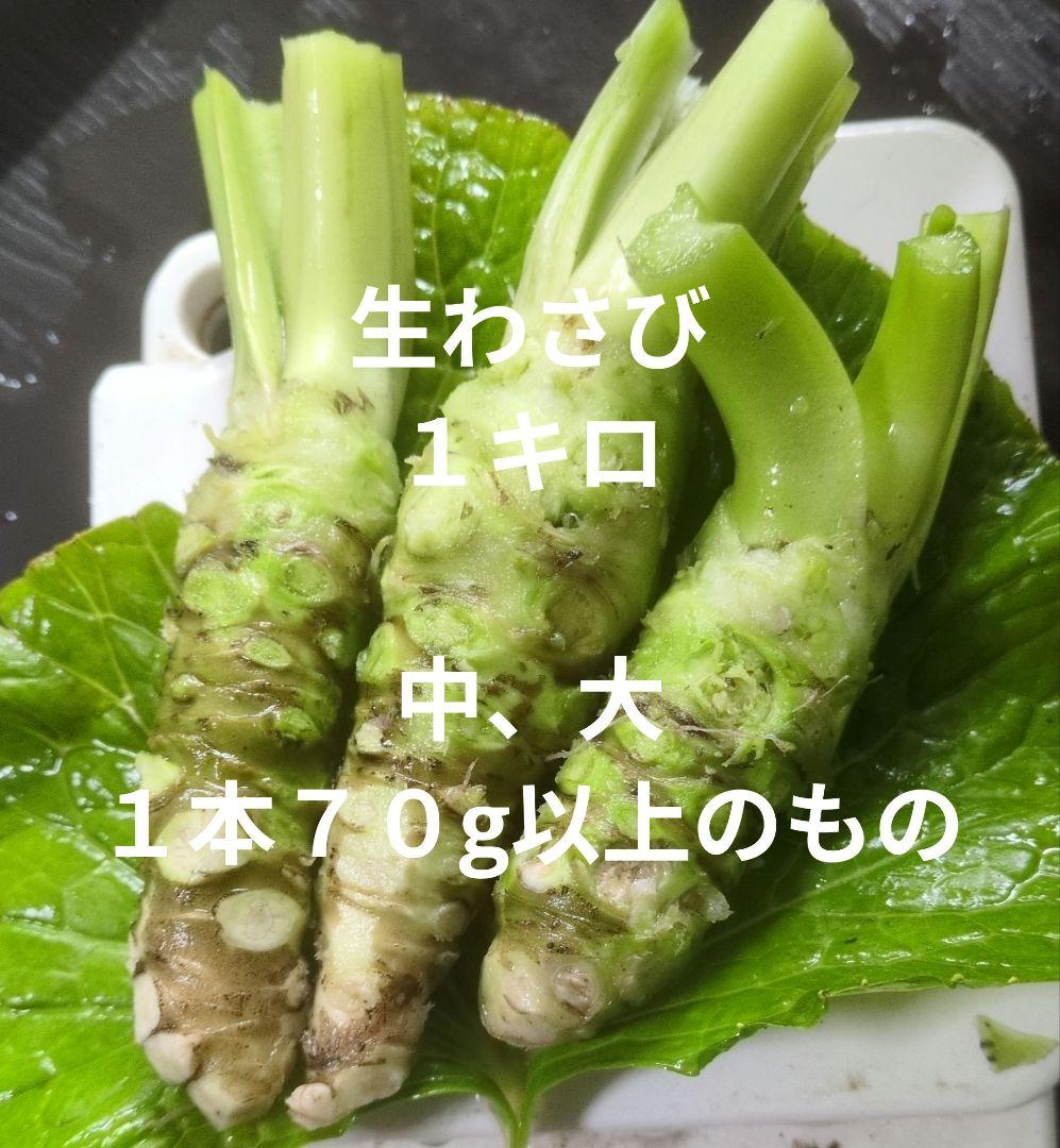 生わさび 1キロ 中・大 70g以上