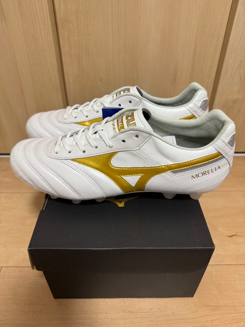 MIZUNO モレリア2 JAPAN 25cm