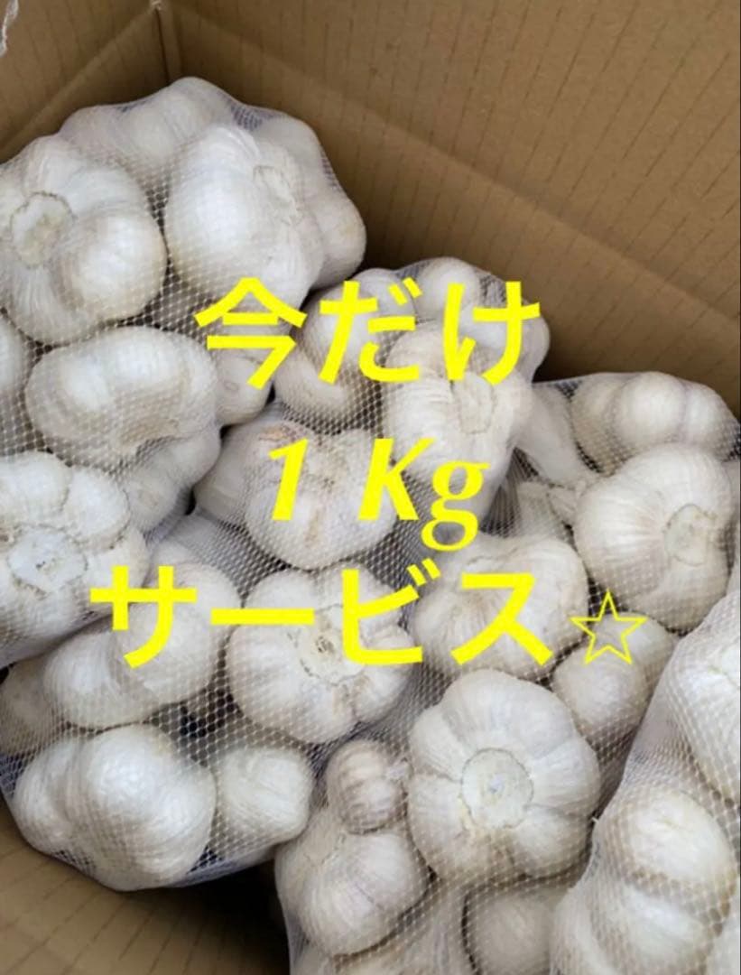 新物　青森県にんにく6キロML早い者勝ち