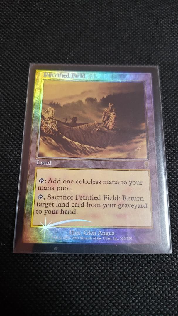 MTG 石化した原野 英語 foil 初版