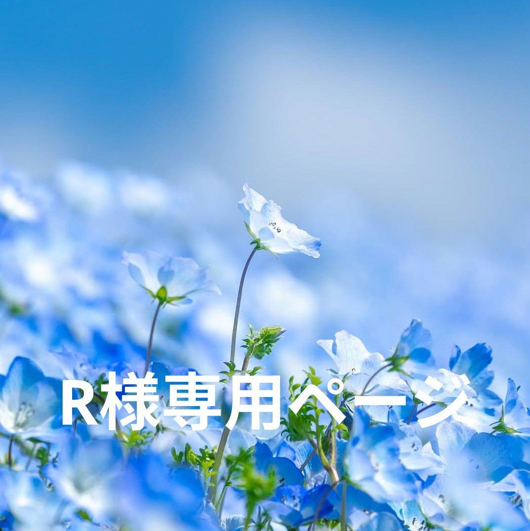 ヨハク☆紙博限定 V CUT BOX「シラカバノモリ」