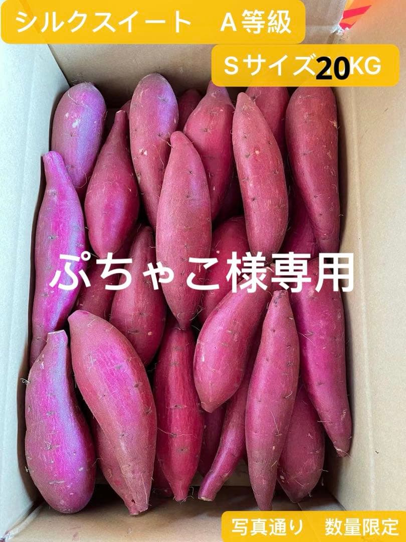 シルクスイート20KG Sサイズ A等級 千葉県産　さつまいも