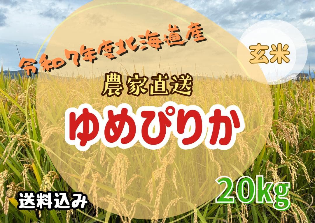北海道産ゆめぴりか 玄米 20kg 農家直送