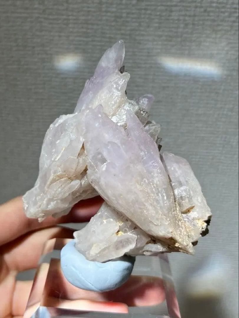 【本日限定】国産鉱物　富井鉱山　紫水晶群晶