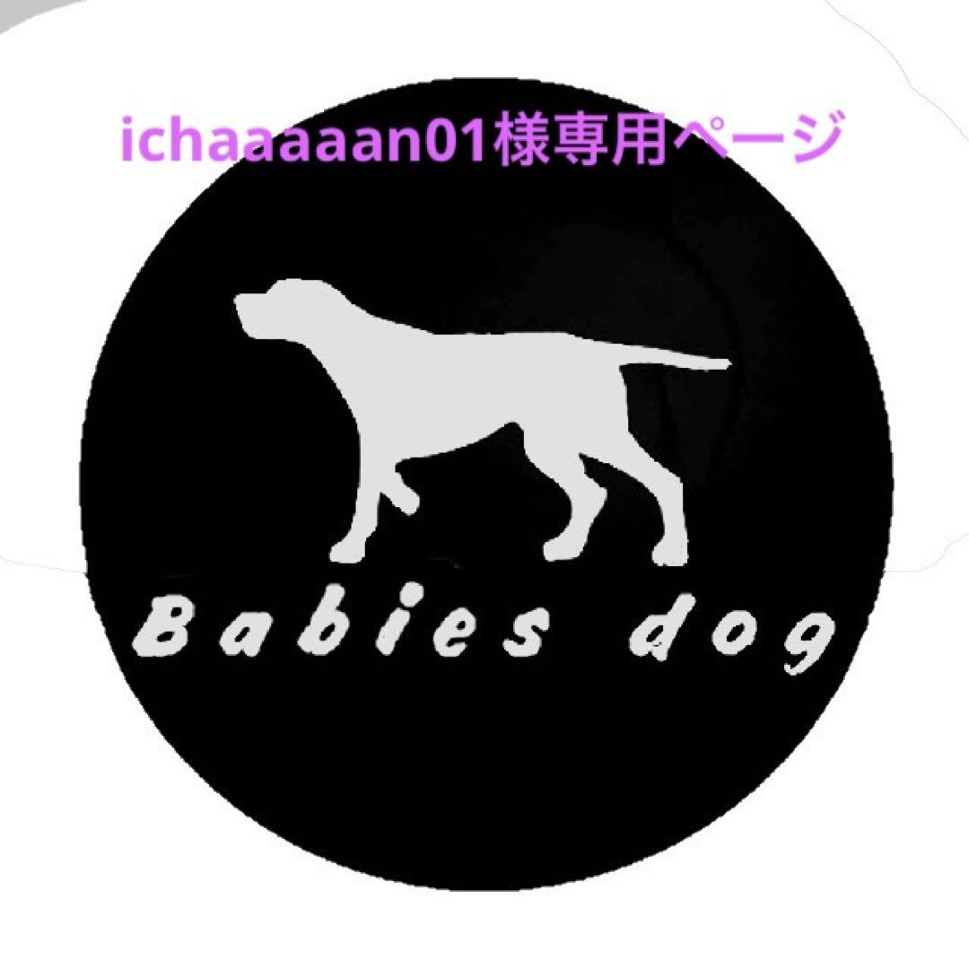 ichaaaaan01ページ