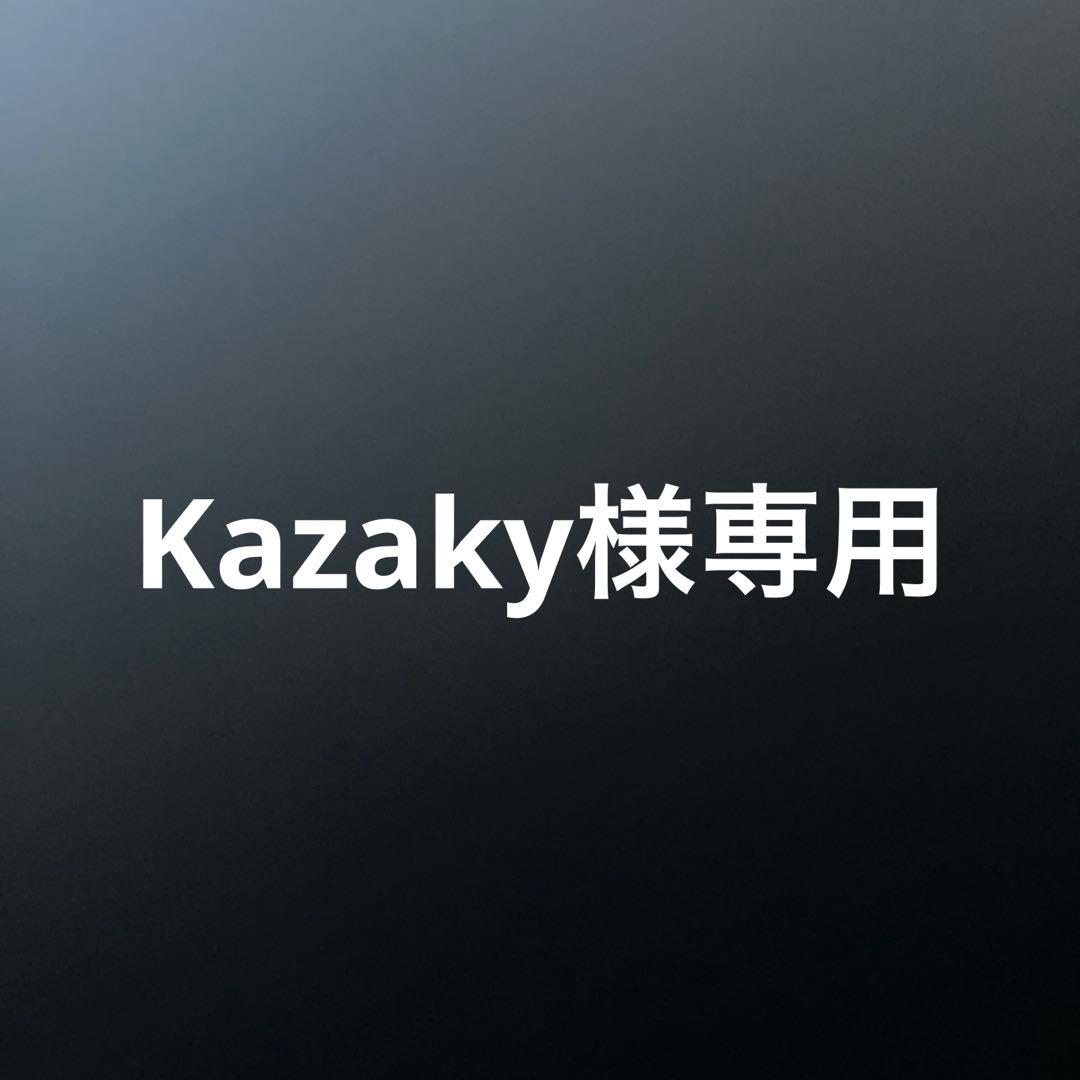 真・侍伝YAIBA 鉄刃 鬼丸猛 峰さやか カゲトラ フィギュア