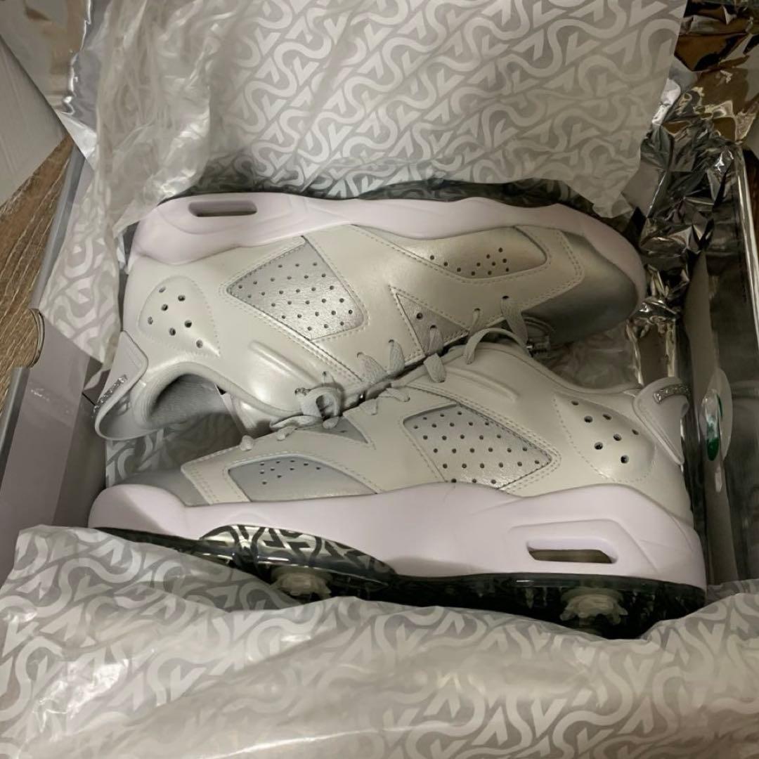 ナイキ　NIKE エア ジョーダン レトロ　6 シルバー　ゴル