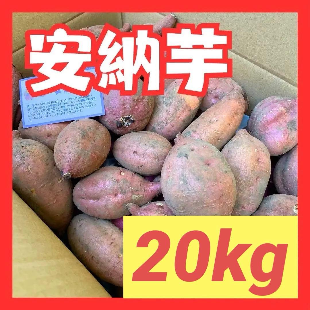 さつまいも『安納芋』